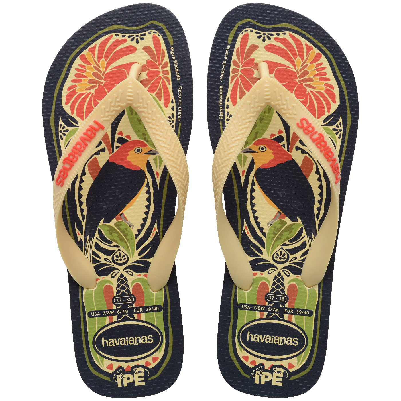 Chinelo Havaianas Ipê