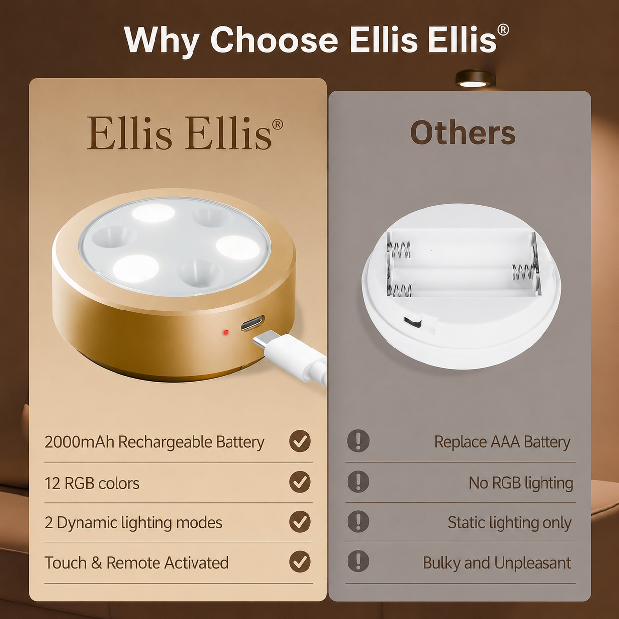 Ellis® Magnetic Picture Lights