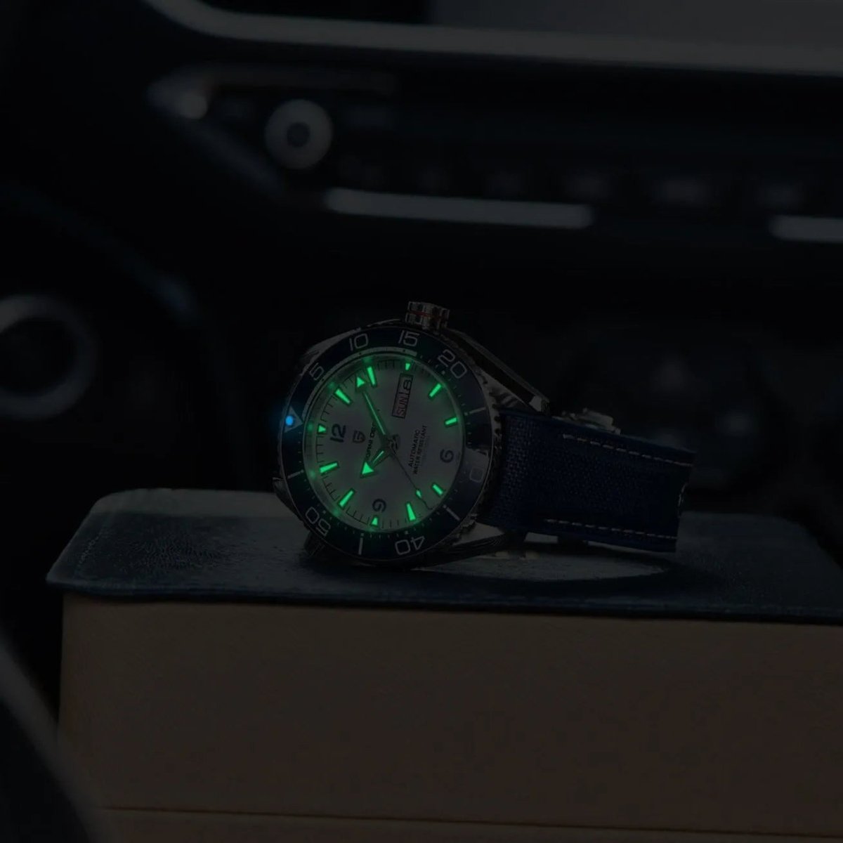 Bartichner - PD-1729 - Automatic - 42mm